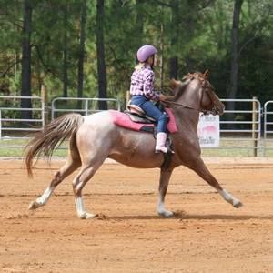 Meet your Posher, Travis